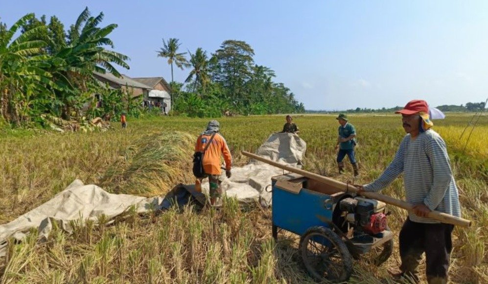 Genjot Luas Tanam 174 Ribu Hektare, Cilacap Prioritaskan Pembenahan Jaringan Irigasi