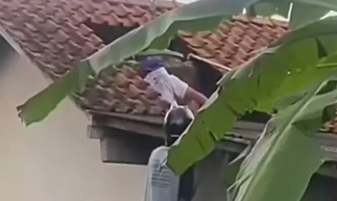 Tragis: Warga Kroya Cilacap Meninggal Dunia Diserang Koloni Tawon Vespa Saat Bersihkan Toren