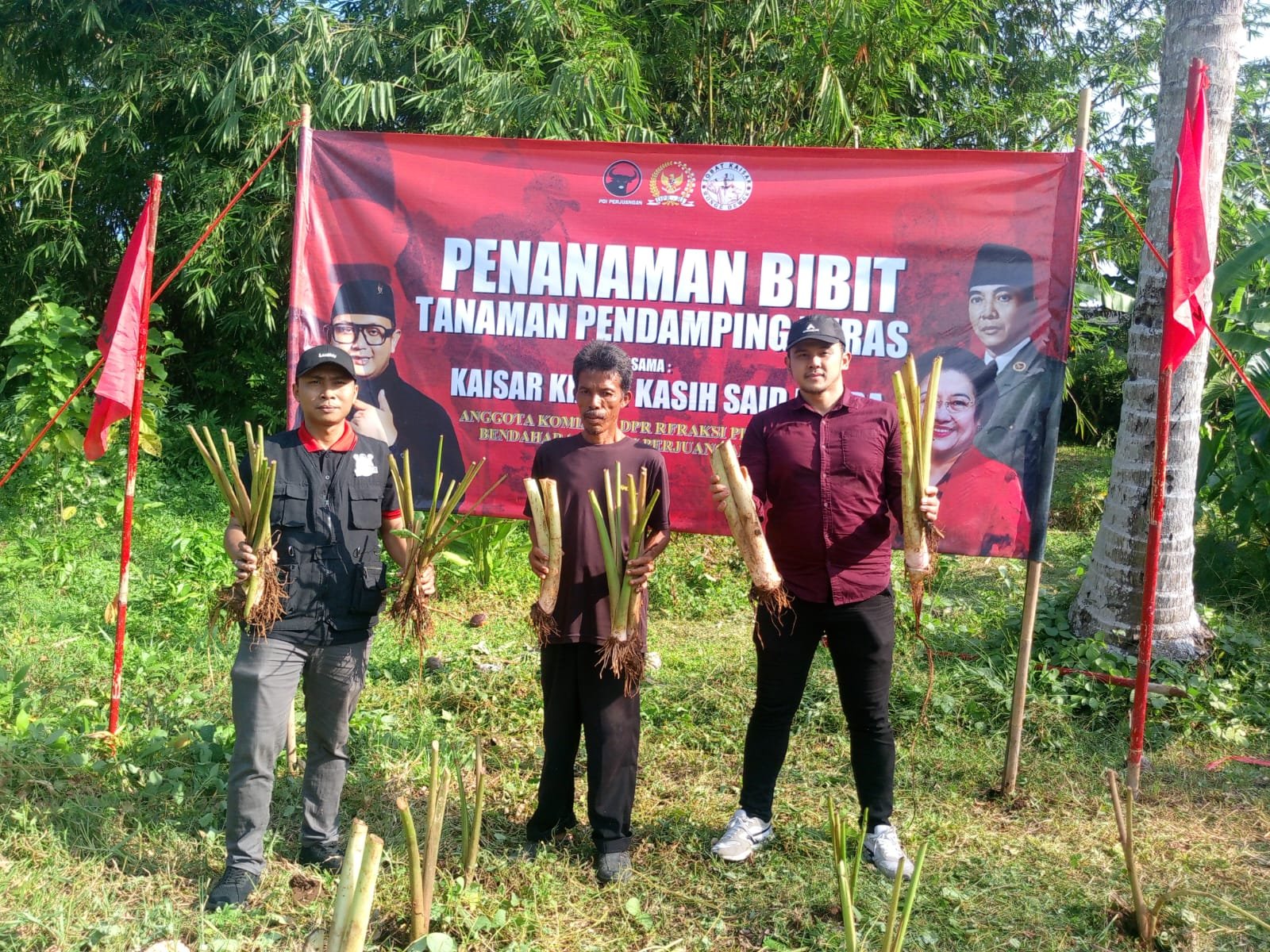 Dukung Ketahanan Pangan, Kaisar Kiasa Kasih Said Putra Tanam Ratusan Bibit Talas dan Singkong di Kroya Cilacap